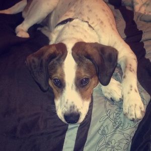 Meet your Posher, Jenny